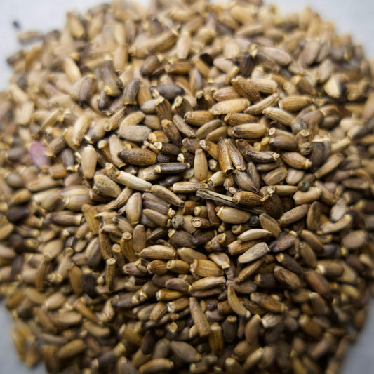 Milk Thistle Seed Whole