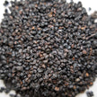 Elderberries