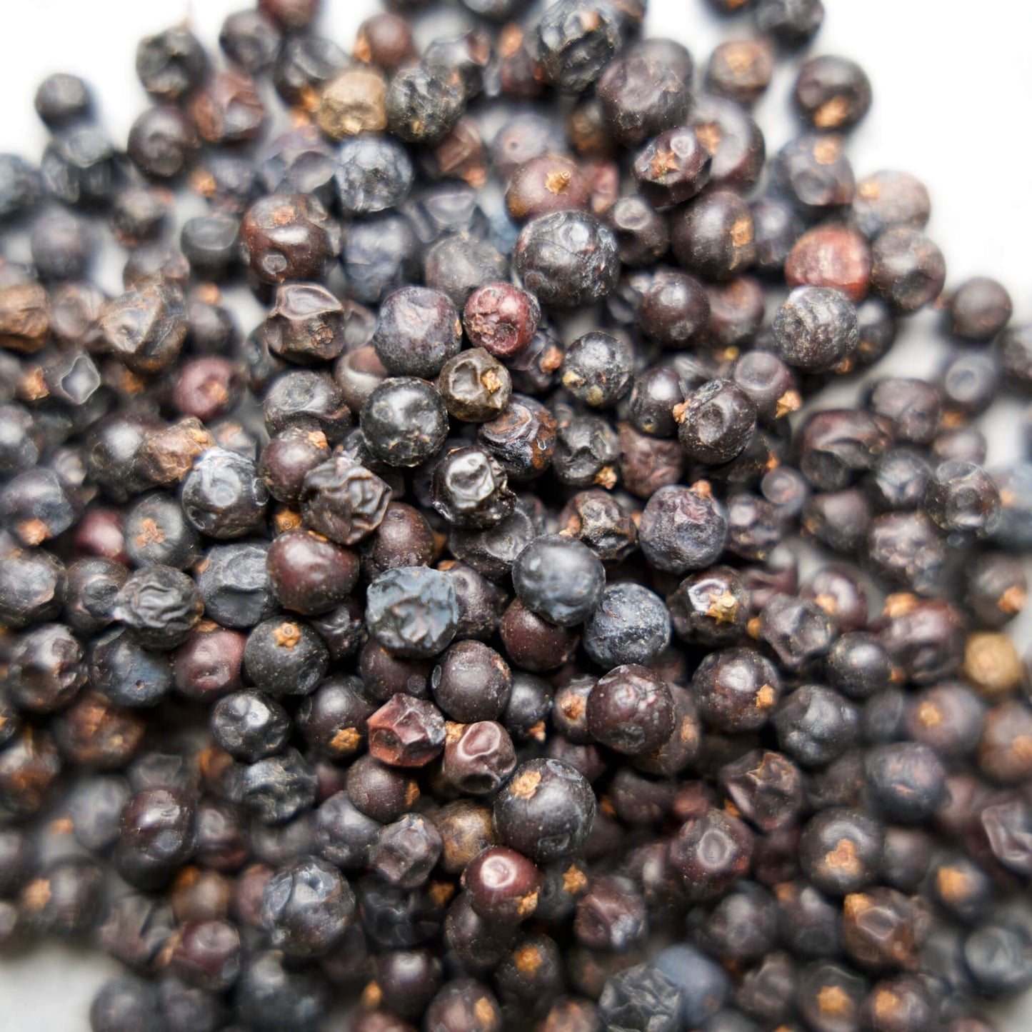 Juniper Berries