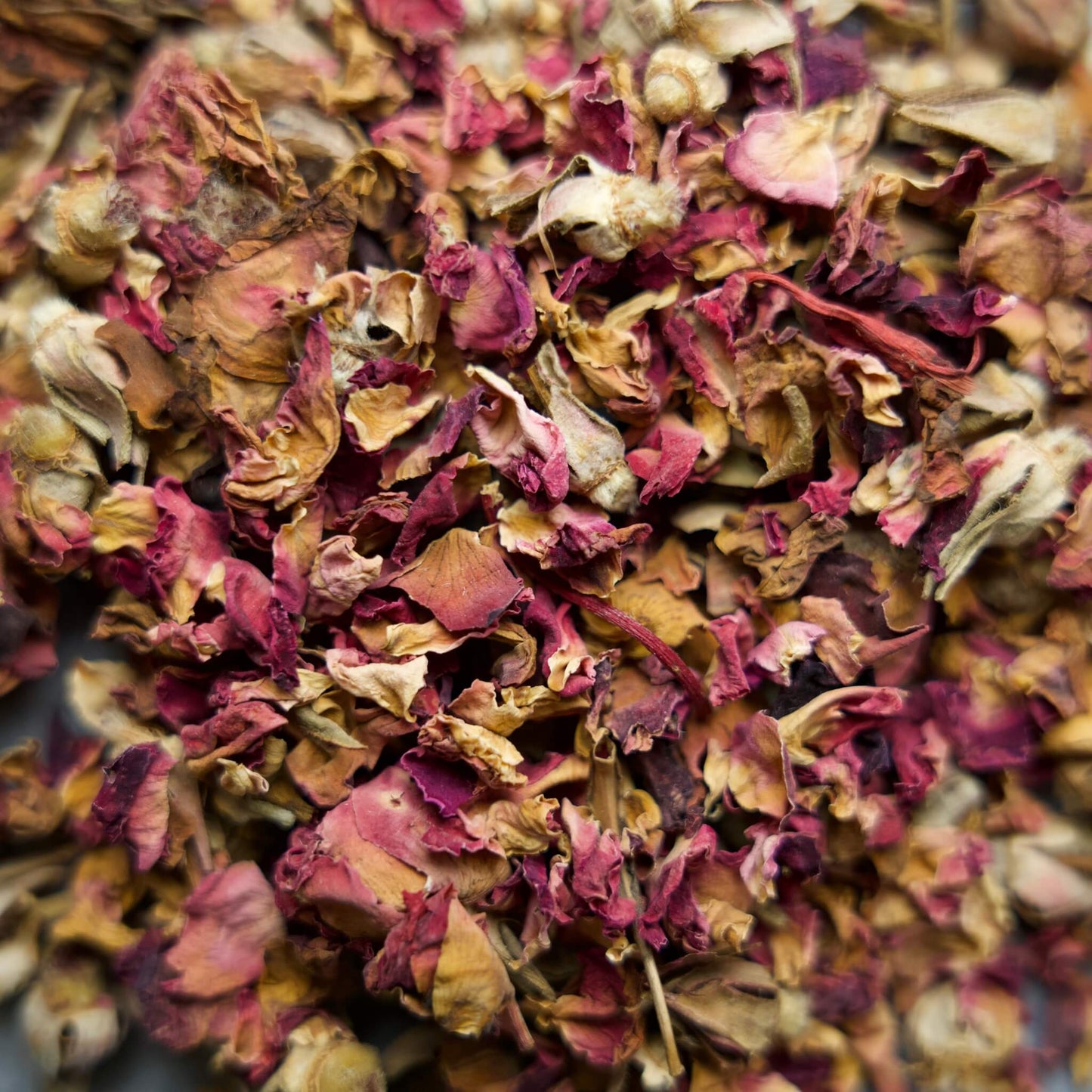Red Rose Buds and Petals