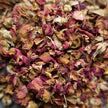 Red Rose Buds and Petals