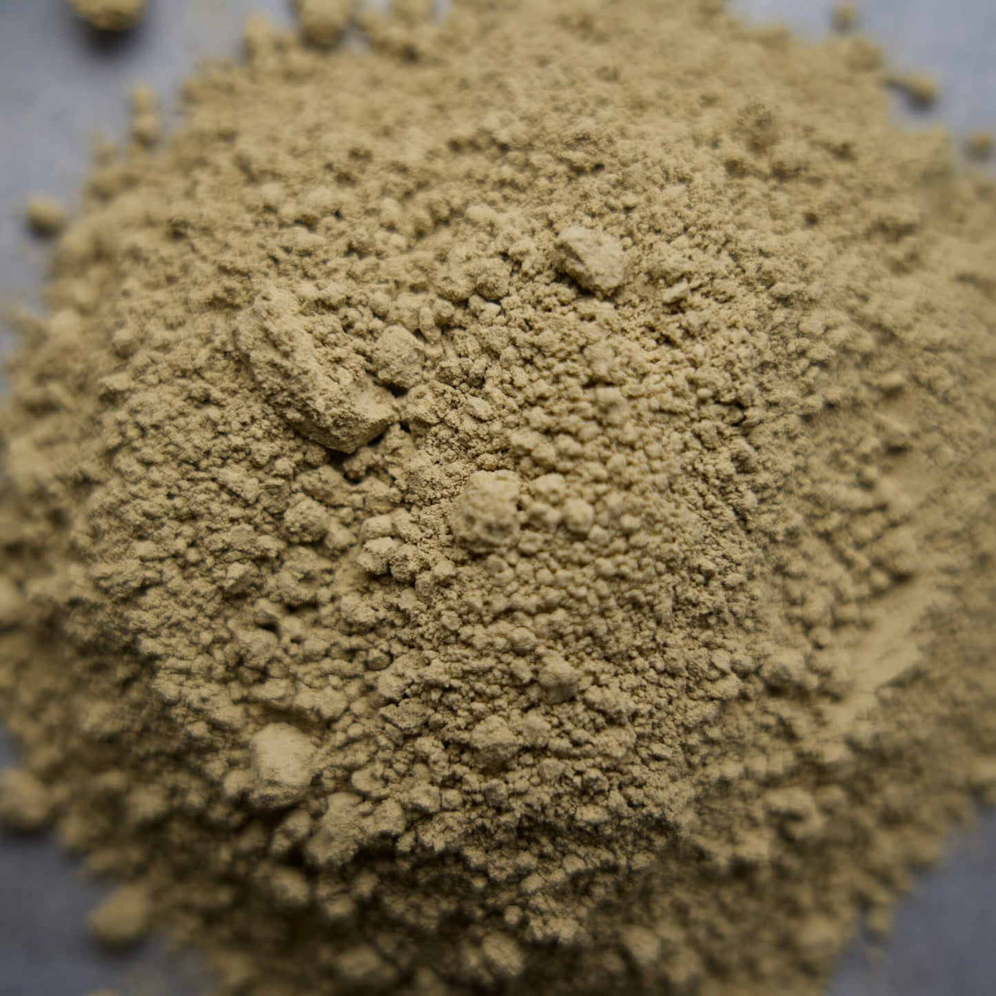 Bladderwrack Powder