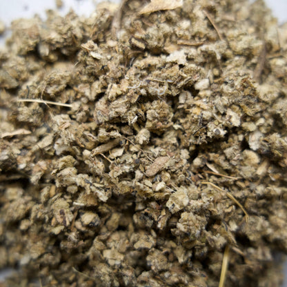 Mullein Leaf