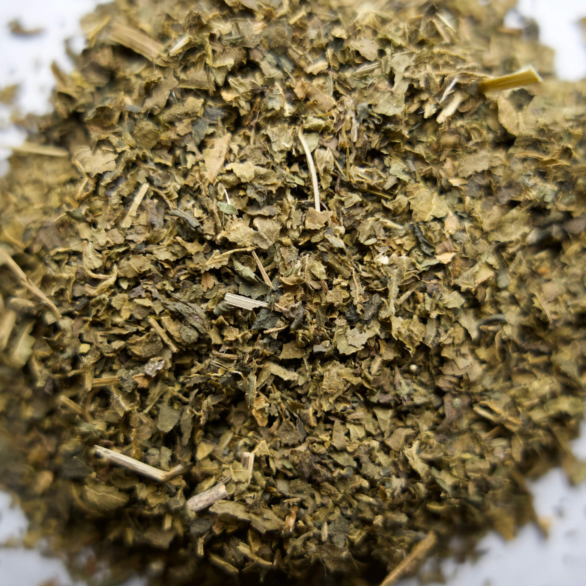 Nettle Leaf