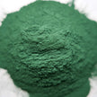 Spirulina Powder